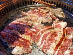 -杨记齐齐哈尔烤肉(总店)