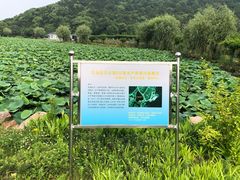 -龙寺生态园