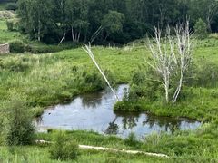 -塞罕坝国家级自然保护区