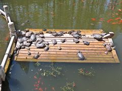 -湛山寺