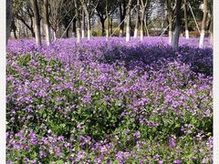 -白塘生态植物园
