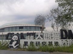 -蜀九香火锅(九眼桥店)