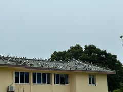 -普陀山风景名胜区-千步大沙