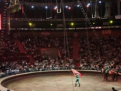 -俄罗斯国家大马戏团