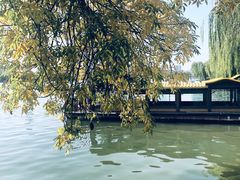 -济南大明湖景区