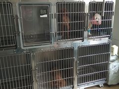 -狗舍宠物医院(四季商业广场店)