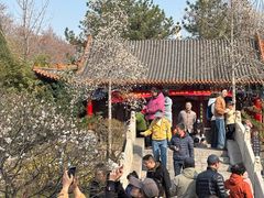 -碑林公园