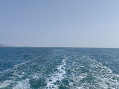 -青岛奥林匹克帆船中心