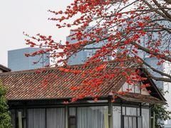 -喜洲吧·江畔老船厂·庭院餐厅(喜临院店)