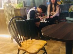 -共舞时光猫咖·狗咖(新街口店)