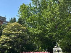 -北海道厅旧本厅舍(旧本庁舎)