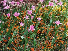 -上海交通大学(闵行校区)