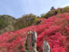 -木兰云雾山