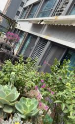 -橘米月子中心(青羊市妇幼店)