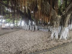 -胡里山炮台