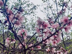 -黑龙潭风景区