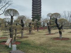 -西海子公园