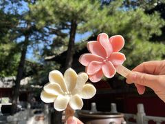 -潭柘寺景区