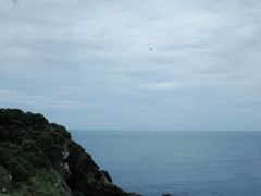 -涉地可支