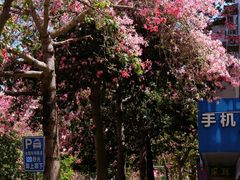 -祝屋巷社区公共服务站