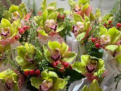 -双季花艺园艺市场(浦东店)