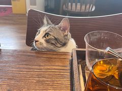 -echoes coffee回响咖啡(888街店)