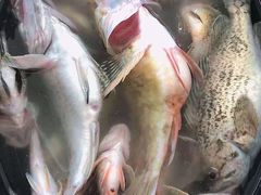 -老东镇啤酒屋海鲜加工·蒸汽海鲜·海鲜烧烤(台东店)