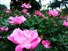 -人民公园(罗湖区)