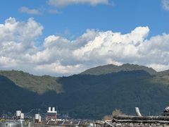 -YLK云南小粒咖啡·云里咖(二号店)