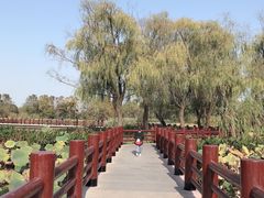 -长兴太湖图影湿地文化园