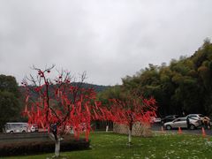 -苏州环秀晓筑养生度假村