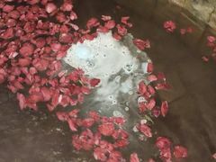 -北京美神宫艺术主题温泉酒店