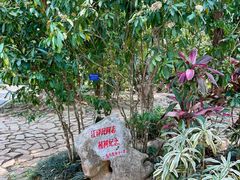 -中国科学院西双版纳热带植物园