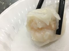 添运来虾饺皇-添运来(茶园奥园广场店)