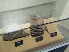 -甘肃地质博物馆