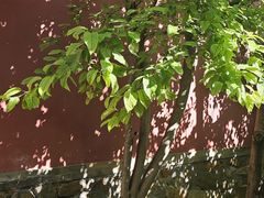 -承恩寺
