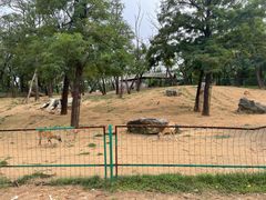 -秦皇岛野生动物园