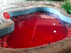 -兴芮温泉度假区