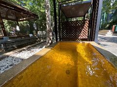 -春晖园度假酒店温泉