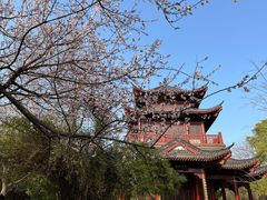 -堤角公园