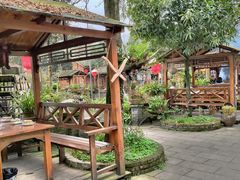 -青城甲(青城山店)