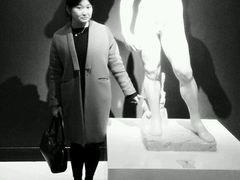 -成都泰迪熊博物馆