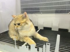 -艾贝尔宠物医院 ·中兽医·宠保定点(北门桥店)