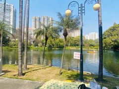 -晓港公园