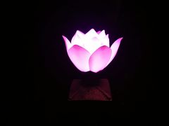 -印象普陀