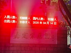 -嘉定紫藤园