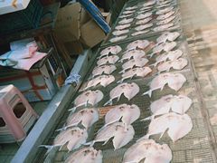 -大湾区中央湿地公园-十九涌