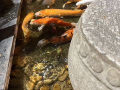-颐和•海鲜砂锅粥•啫啫煲(奥林匹克广场店)