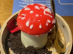 -菌彩云南野生菌火锅(万达广场店)