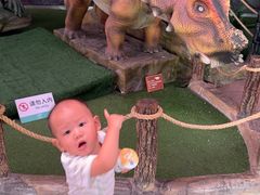 -陕西自然博物馆